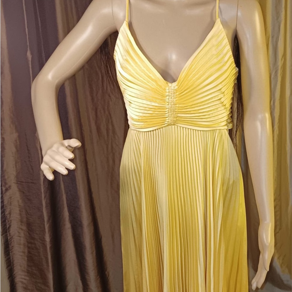 ALC gorgeous pleated open back maxi dress.